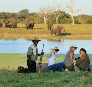 Victoria Falls og Hwange Nasjonalpark