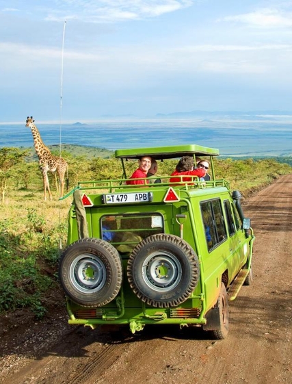 Komplett tipsguide for safari i Afrika