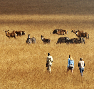 Vandresafari - The Sangwala Trail