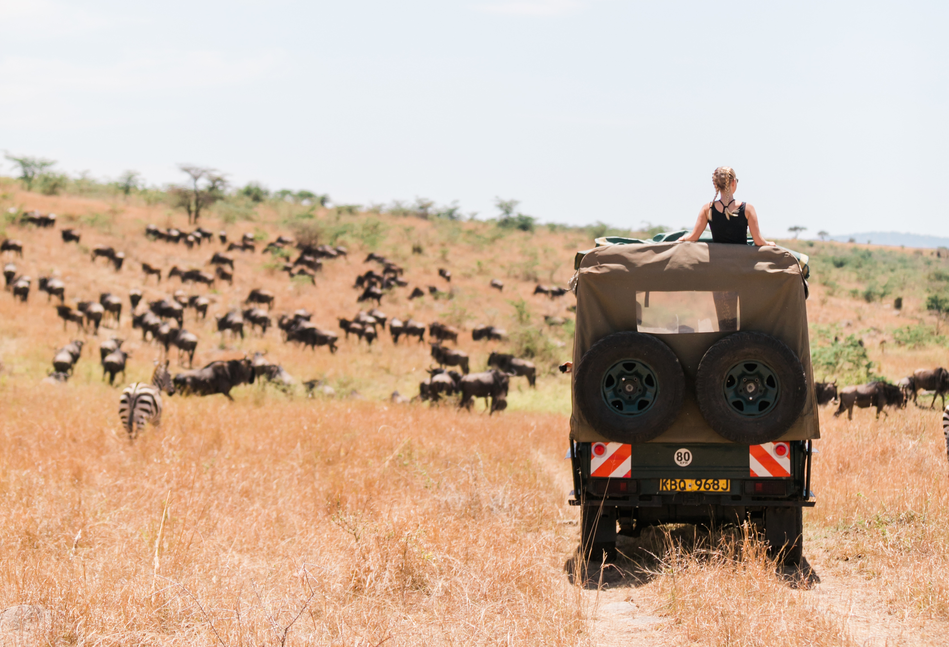 Opplev Afrikas villmark sammen med andre eventyrlystne