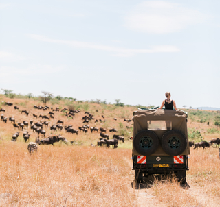 Julen 2025 Soloreise Ngorongorokrateret, Serengeti & Zanzibar