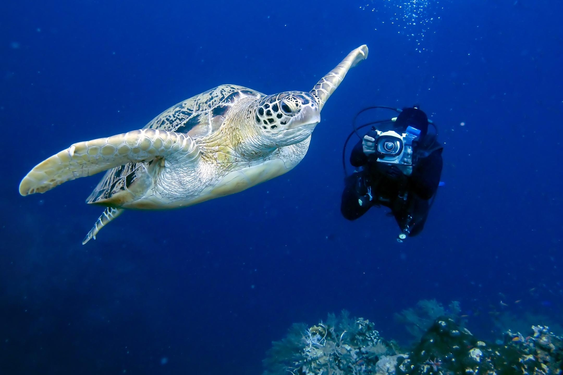 Barfotluksus og paradisøyer