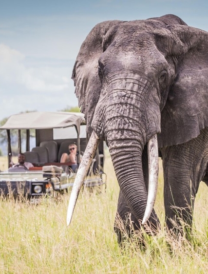 Pakkeliste Safari: Alt du trenger å ta med til Afrika