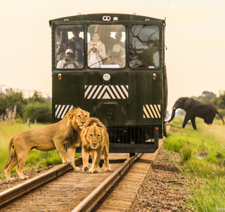 Victoria Falls og The Elephant Express til Hwange Nasjonalpark