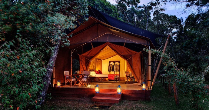 Elephant Pepper Camp