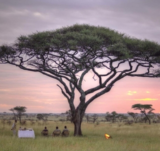 Den store Tanzaniareisen