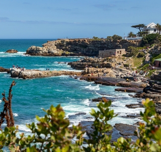 Cape Town, Garden Route & Safari