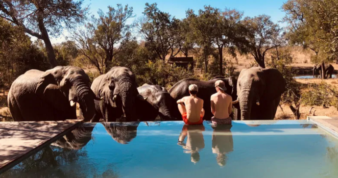 honeyguide_khoka_moya