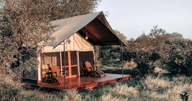 honeyguide_khoka_moya