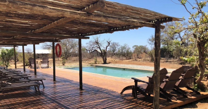 honeyguide_khoka_moya