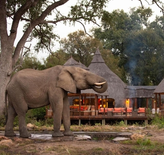 Julen 2025 Det beste av Sør-Afrika