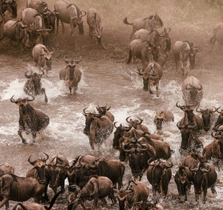 Sommerreise | Masai Mara & Zanzibar