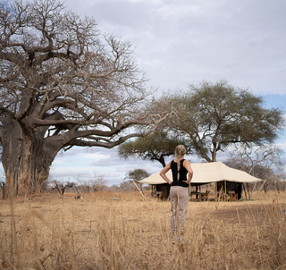 Lemoshoruten og Safari