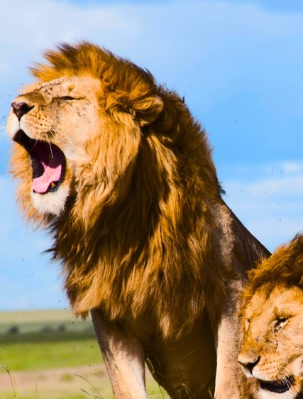 Veiledning for visumsøknad til Tanzania