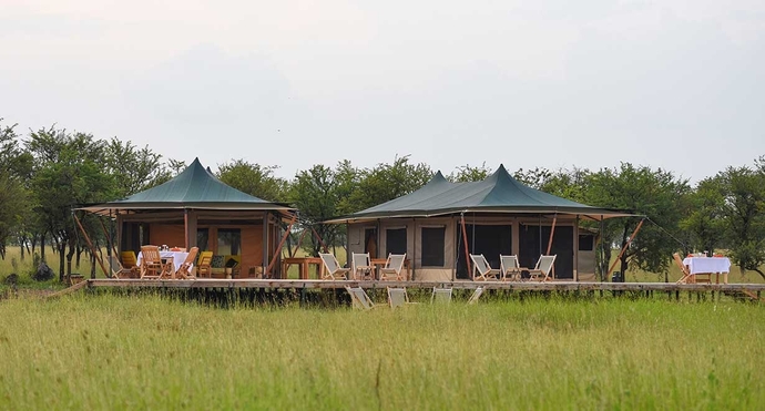 Serengeti Queens Tented Camp