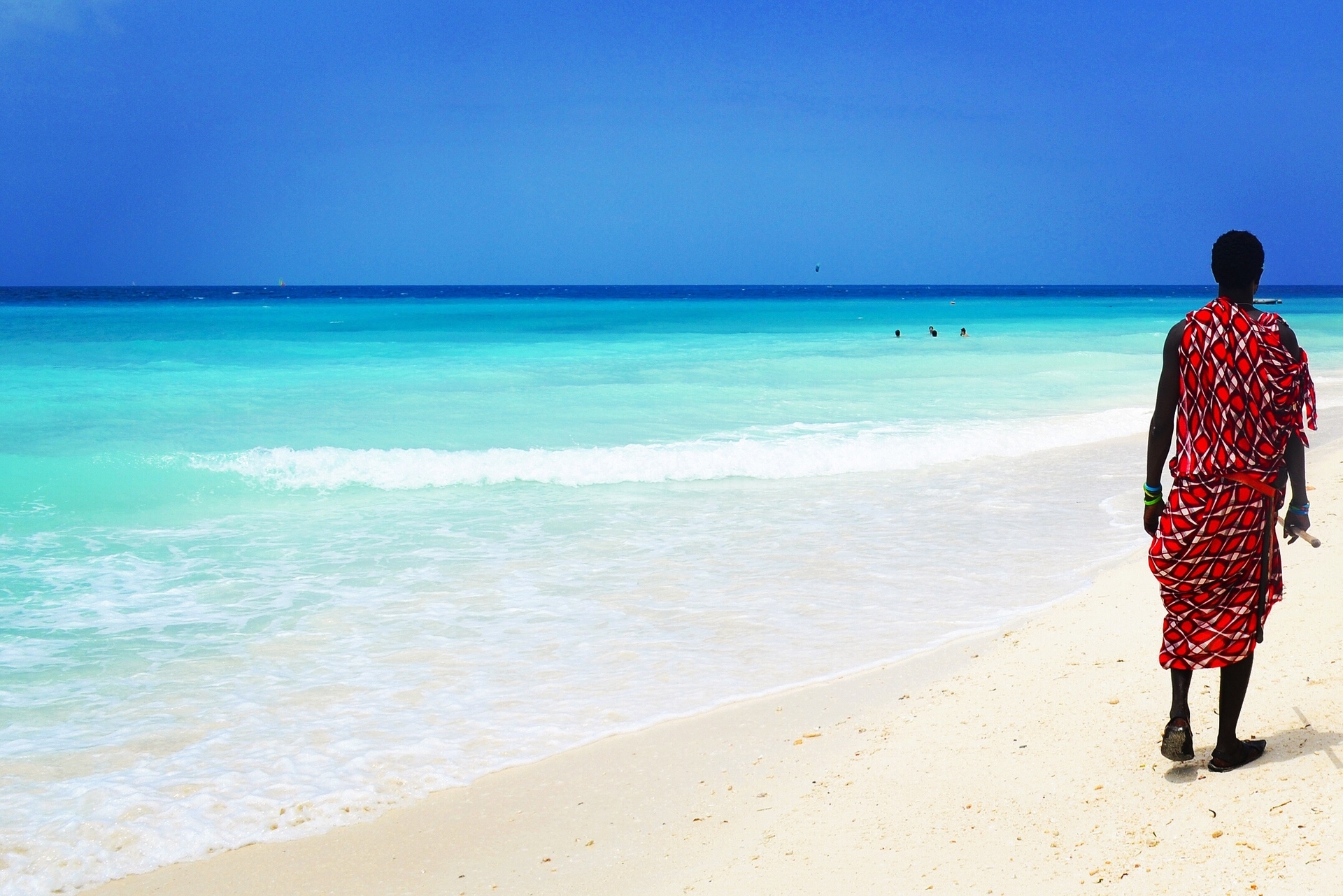 Palmesus & bølgeskvulp