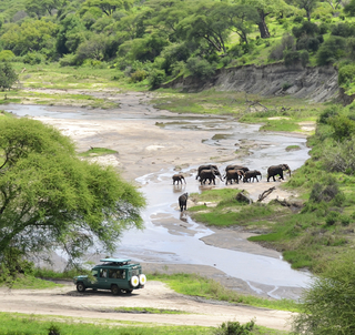 Vinterferie 2026 Familiesafari & Zanzibar