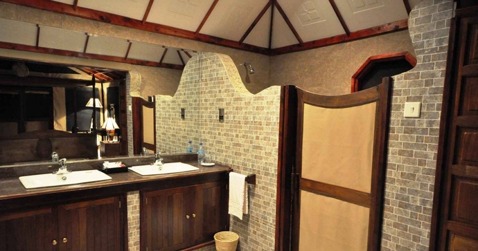 Tarangire Elephant Rock 