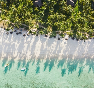 Julen 2025 Cape Town, Safari og Mauritius