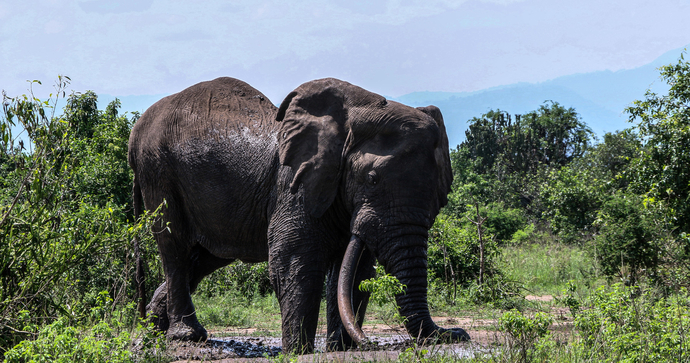Twin Lakes Safari Lodge