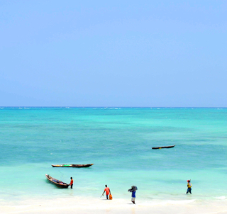 Lemoshoruten og Zanzibar