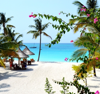 Bryllupsreise Tanzania & Zanzibar