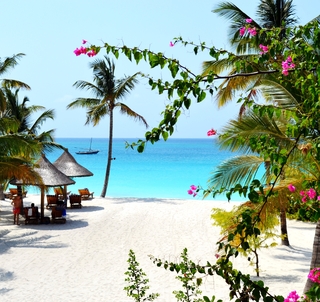 Det beste av Zanzibar