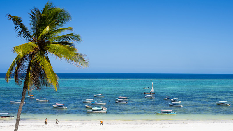 Komplett tipsguide for safari og rundreiser