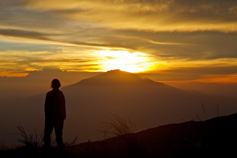 Safarireiser - Din guide til Kilimanjaro