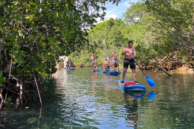 Magiske Mida Creek - et unikt &oslash;kosystem av mangroveskog
