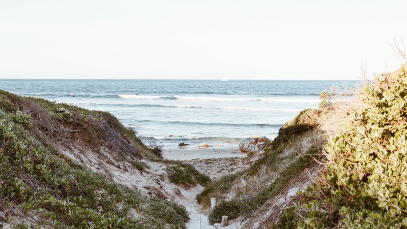 Hvalsafari fra Hermanus &ndash; verdens beste landbaserte hvalopplevelse