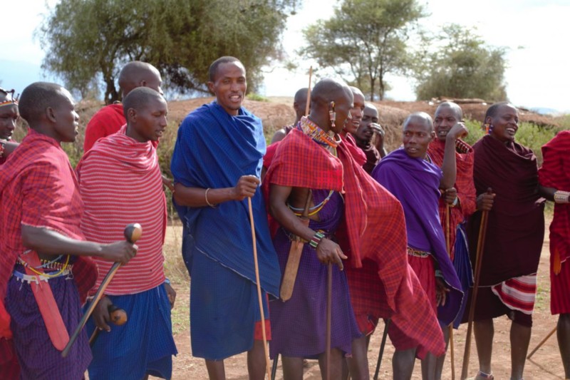 Husdyrenes hellige rolle i maasaisamfunnet