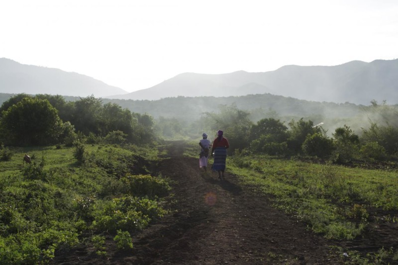 &Aring; bo i Kenya er &aring; alltid v&aring;kne til fuglesang klokken syv om morgenen.