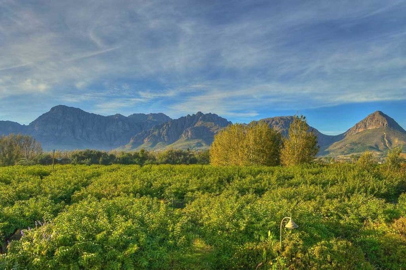 Vakre utsikter over vinomr&aring;det. En utflukt til vinomr&aring;det passer b&aring;de store og sm&aring;!