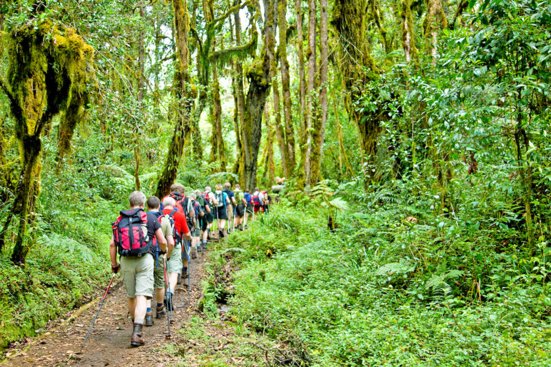 Beste tidspunkt for bestigning Kilimanjaro