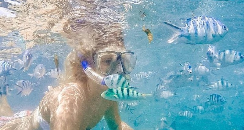 Utforsk verdens mest artsrike korallrev med snorkling og dykking