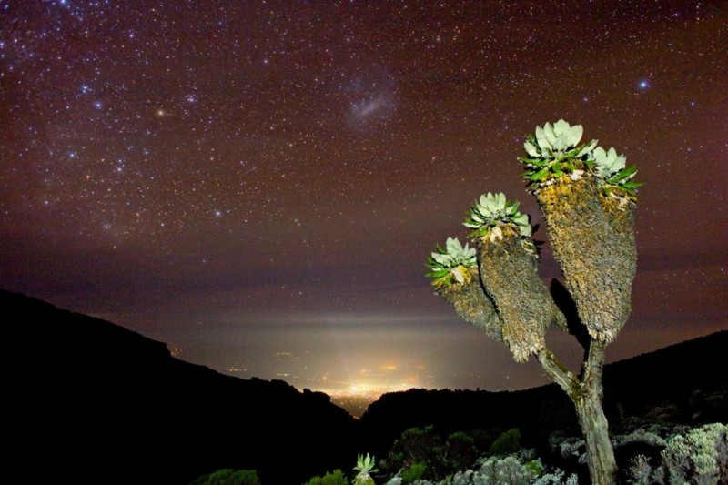 Slik forbereder du deg til Kilimanjaro